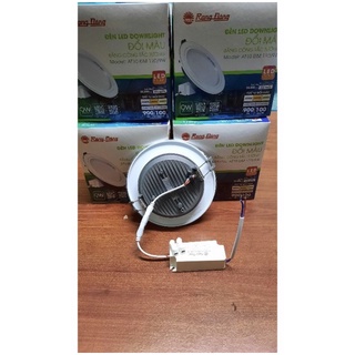 Đèn mắt trâu 7W đổi màu Rạng Đông
