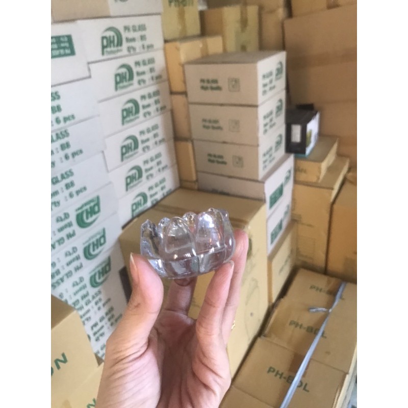 2 đế thủy tinh cắm nến