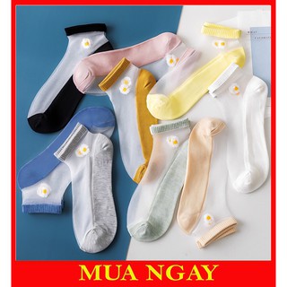 Tất nữ ren lưới hoa cúc TN26