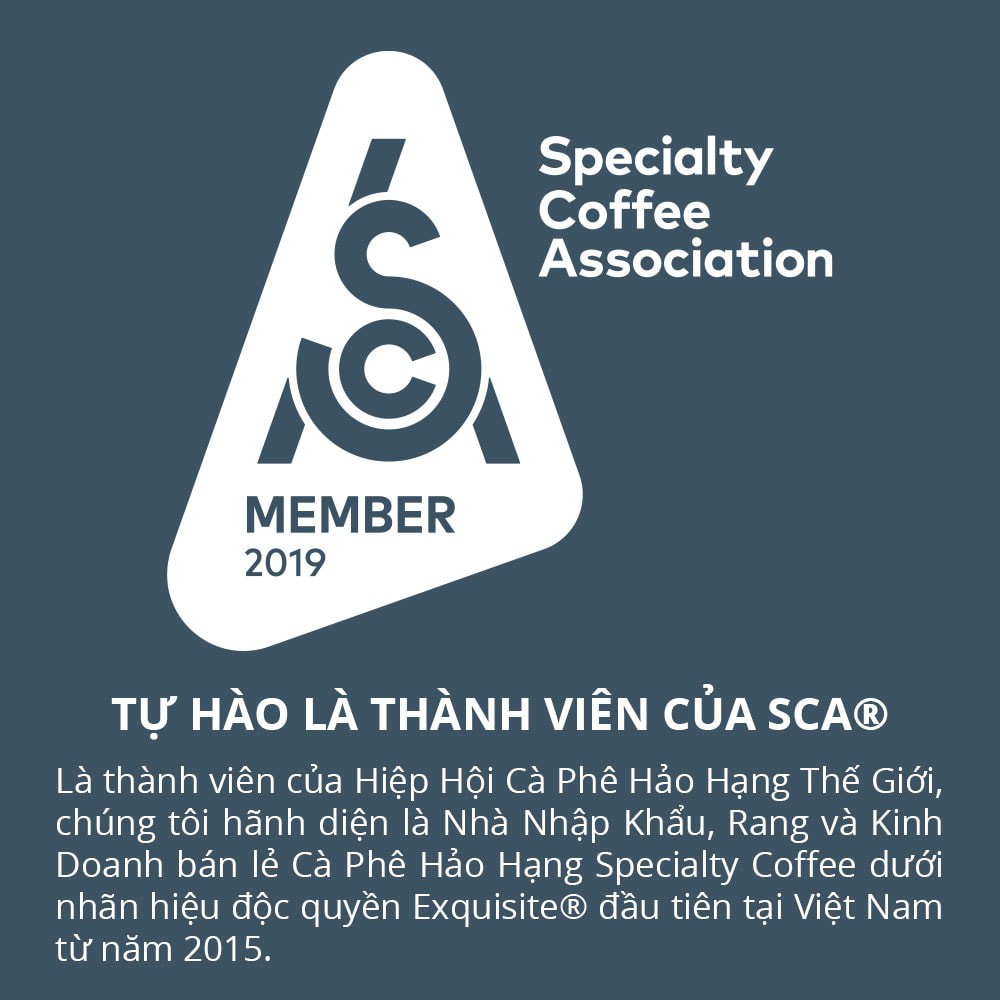 Specialty Coffee Cà Phê Hảo Hạng Exquisite® El Salvador Santa Rosa 100% Bourbon Gói 120g - 1864 CAFÉ®