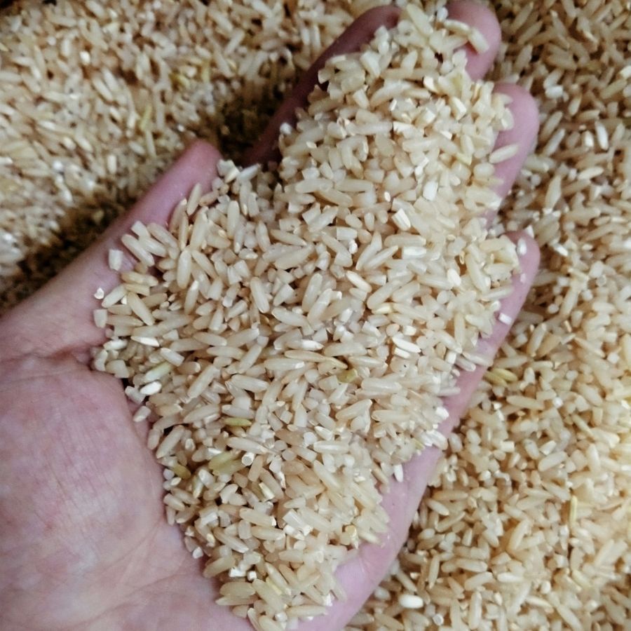 1Kg Gạo Xay Nguyên Cám - Gạo Lứt Trắng Dẻo Thơm