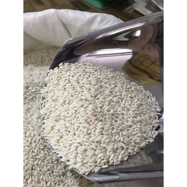 1kg nếp ngỗng -nếp nấu xôi dẻo thơm