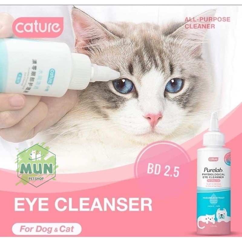 Vệ sinh mắt cho mèo Cature
