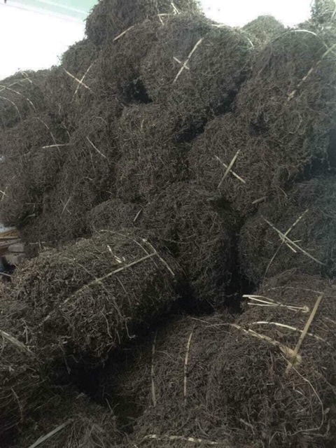 Cây Thạch Đen Cao Bằng 1000g