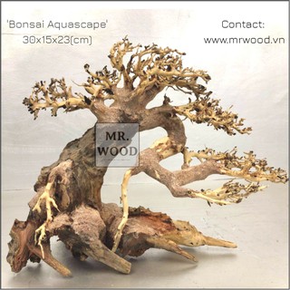 Lũa bonsai cho hồ cá thuỷ sinh Size Trung