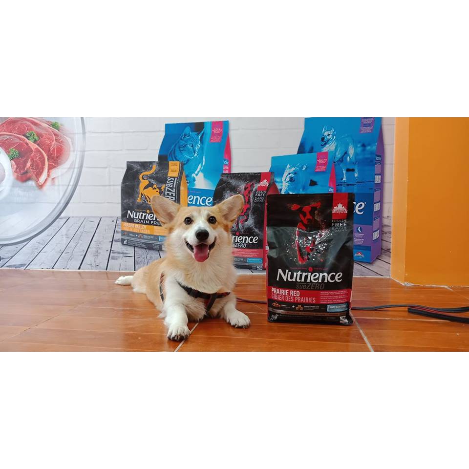 Thức Ăn Cho Chó Hạt Corgi Nutrience Subzero Bao 2,27kg - Thịt Bò, Cá Hồi, Cá Trích, Cá Tuyết, Rau Củ Quả & Trái Cây