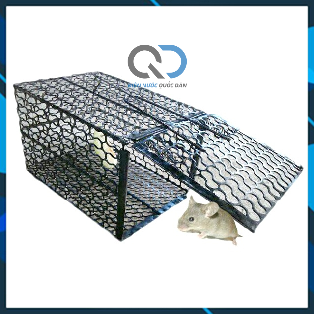 Lồng Bẫy chuột - Bẫy Bắt Chuột bằng sắt chắc chắn