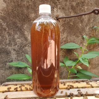 Sỉ toàn quốc giá rẻ mật ong rừng 500ml - 1 lit
