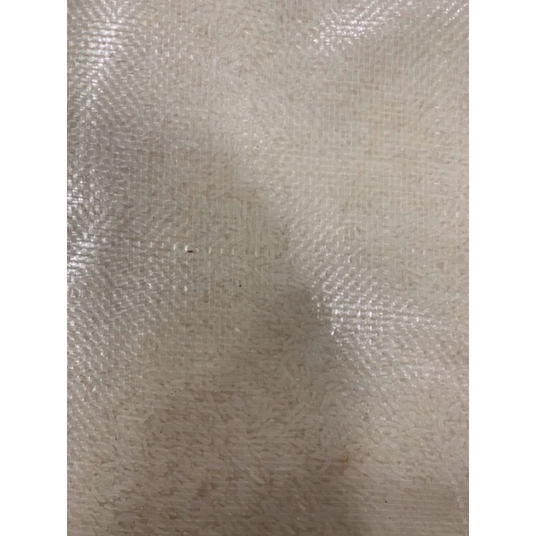 Gạo ST25 Sóc Trăng (bao 5kg Gạo Thơm Cao Cấp) | BigBuy360 - bigbuy360.vn