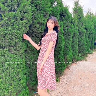 Váy Đầm Hoa Nhí Mẫu Váy Đầm Du lịch Dáng Xuông Bèo Ngực Hoạ Tiết Hoa Hồng