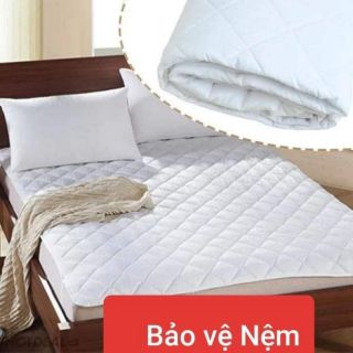 Áo nệm chống thấm m8 cotton