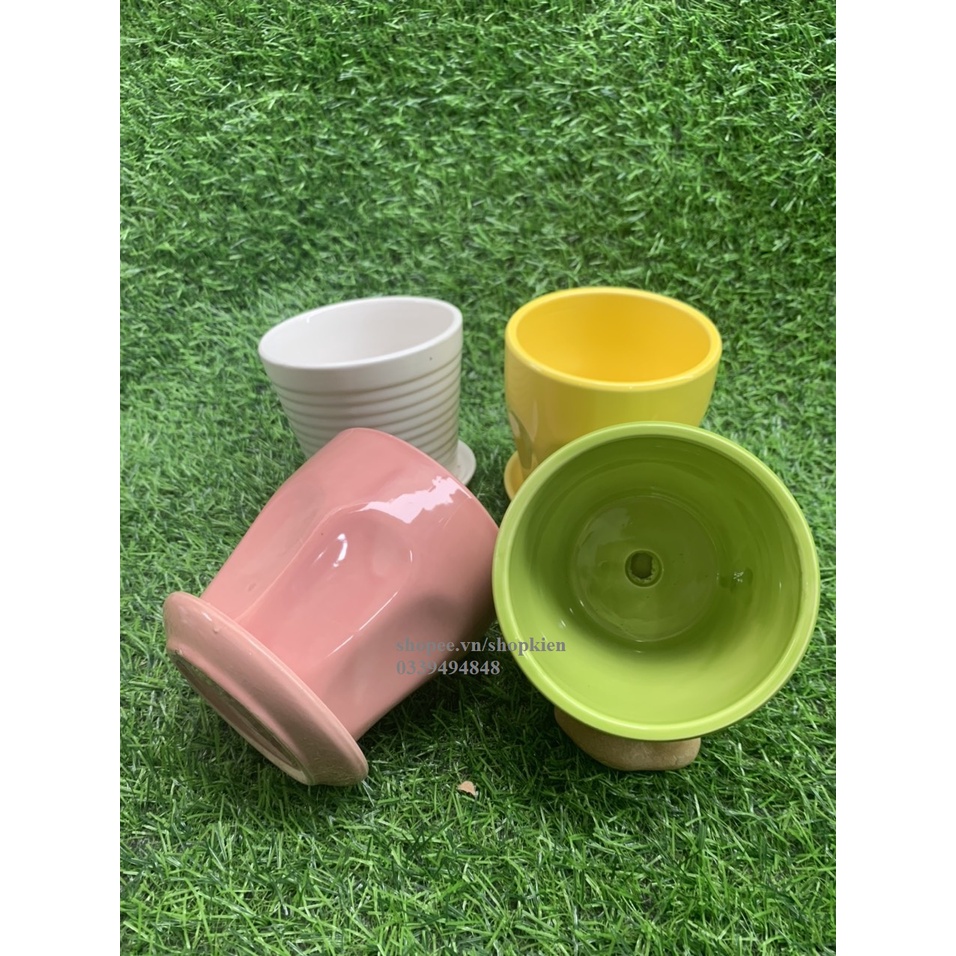 Chậu trồng cây mini  để bàn có đĩa đựng nước màu và dáng đẹp