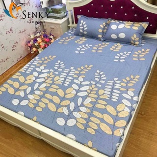 Bộ ga chun và 2 vỏ gối m6 2m ,m8 2m,2m*2m2 - giá rẻ