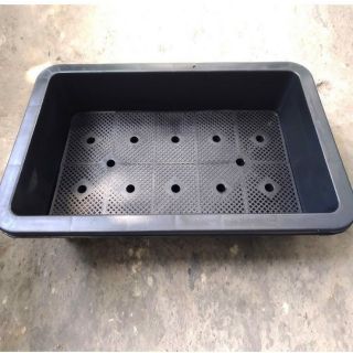10 Khay nhựa Trồng Rau (65×45×17cm)
