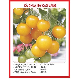Hạt Giống Cà Chua Bi Cây Cao Quả Tròn Vàng Siêu Quả Ngon(30 hạt)