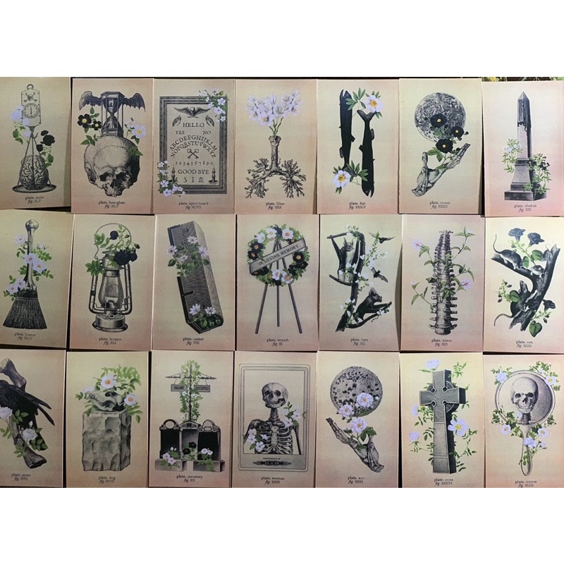 Bộ bài Memento Mori Oracle&Lenormand 85 lá