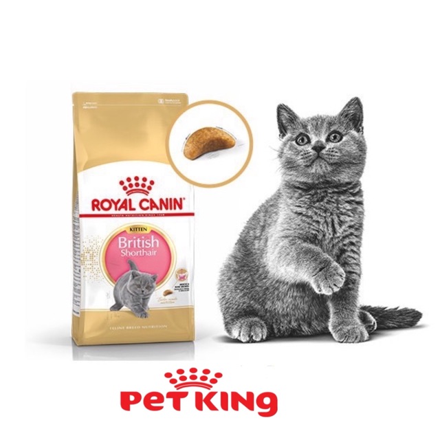 Thức Ăn Hạt Royal Canin British Shorthair Kitten 2Kg cho mèo Anh Lông Ngắn