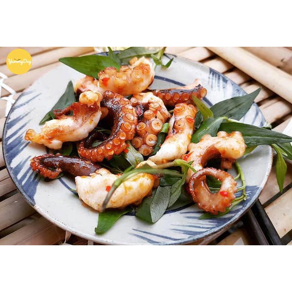 Râu bạch tuộc | BigBuy360 - bigbuy360.vn