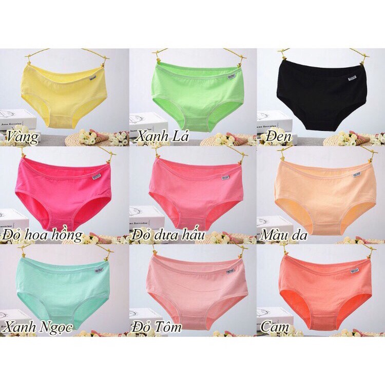 QUẦN LÓT COTTON PULO