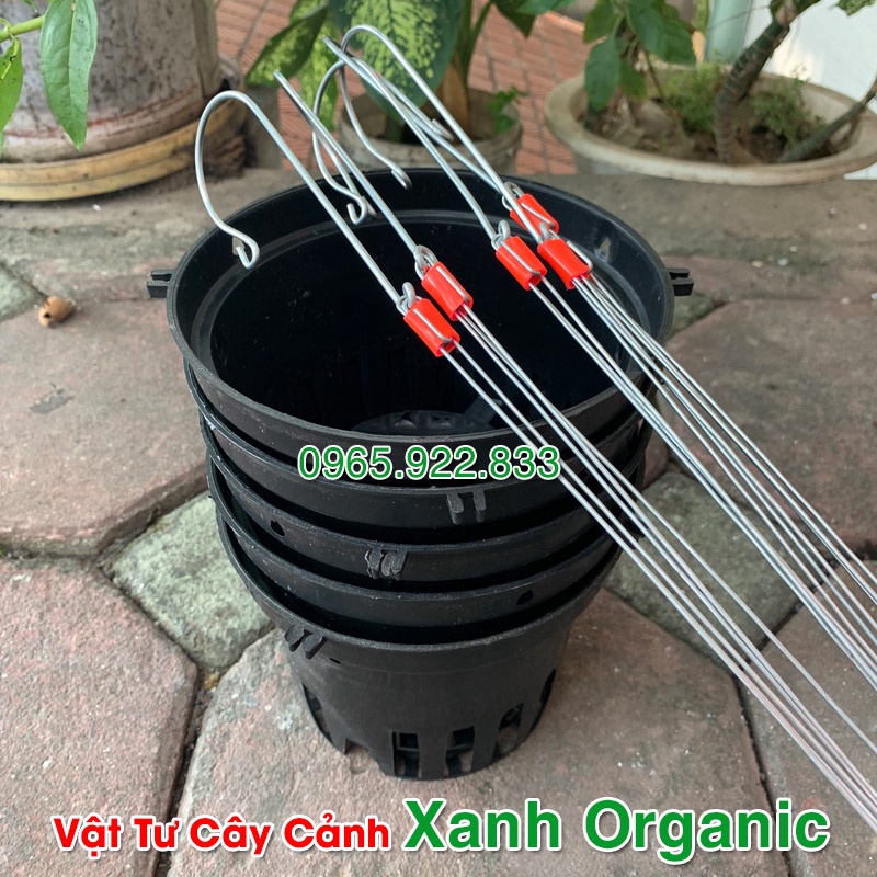 Combo 5 Chậu Trồng Lan Phi 16cm cho người mới tập chơi