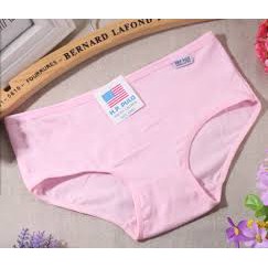 Quần Lót Cotton Nữ Xuất Mỹ HP PULO Không Bao Giờ Hết HOT | BigBuy360 - bigbuy360.vn
