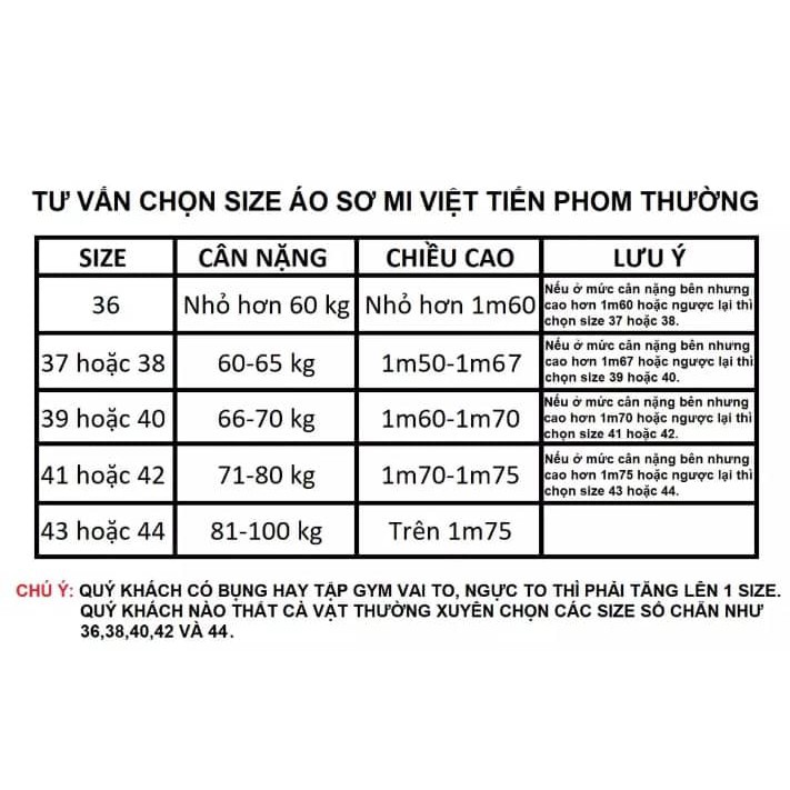 Áo sơ mi cộc tay Việt Tiến (2009)