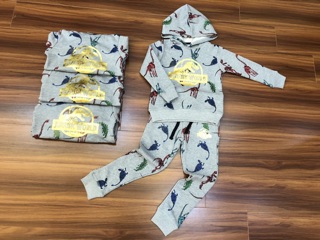 Bộ nỉ khủng long HM