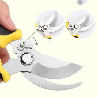 Kéo cắt tỉa cành cây