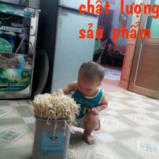Thiết bị làm giá sạch đa năng (làm giá + muối dưa cà...)