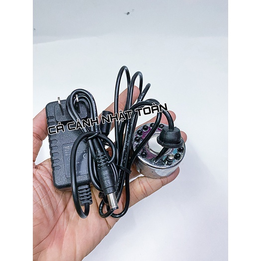 MÁY TẠO KHÓI, PHUN SƯƠNG, ĐỘ ẨM CHO BỂ CÁ, TIỂU CẢNH MIST MAKER