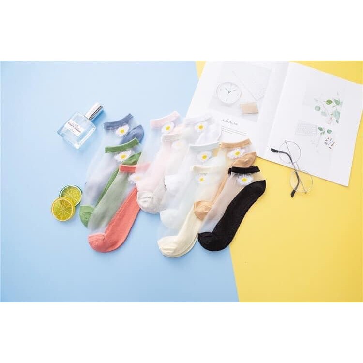 Set 5 Đôi Tất Nữ, Vớ Nữ Lưới Hình Hoa Cúc Nhiều Màu