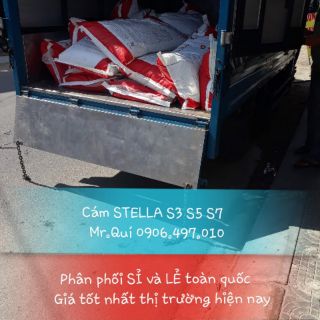 Cám stella s3 thích hợp cho cá koi, cá vàng - 5kg