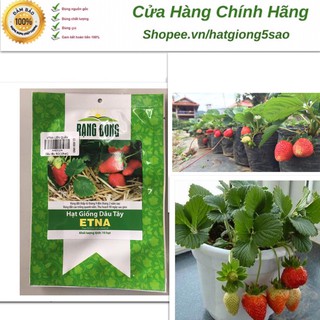 Dâu Tây Etna RĐ