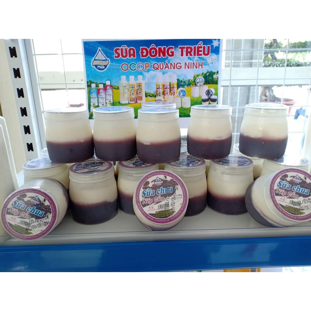 Sữa chua nếp cẩm, sữa chua Đông Triều, vỉ 6 hũ