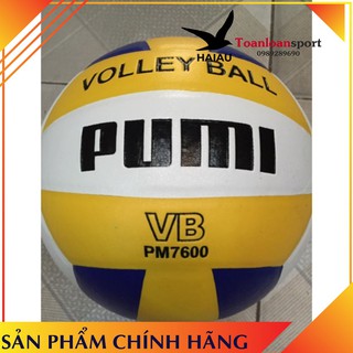 Bóng chuyền da pumi