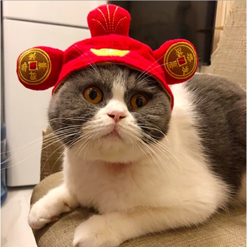 MŨ NÓN THÚ CƯNG DỄ THƯƠNG - CHỌN MẪU