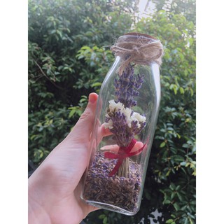 Lọ nụ hoa Lavender Pháp  trang trí (như hình)
