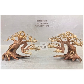 LŨA BONSAI CHO HỒ THỦY SINH SIZE NHỎ