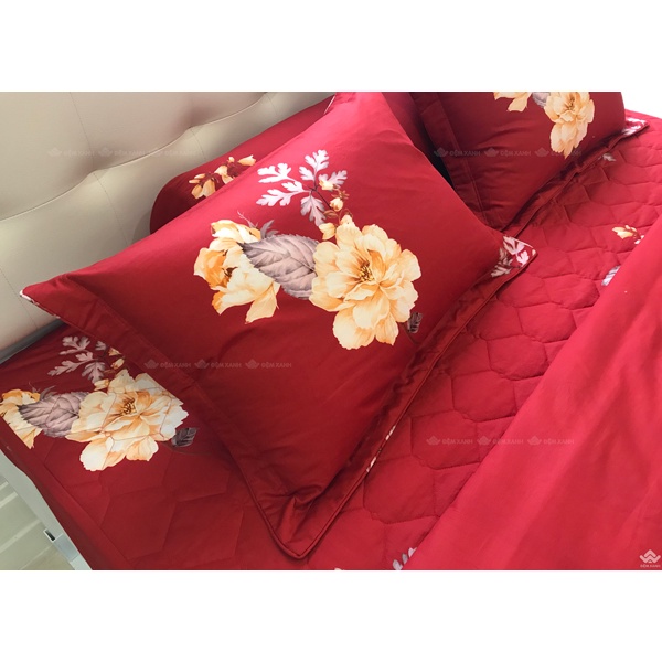 Bộ ga gối Sông Hồng Basic cotton BC22064