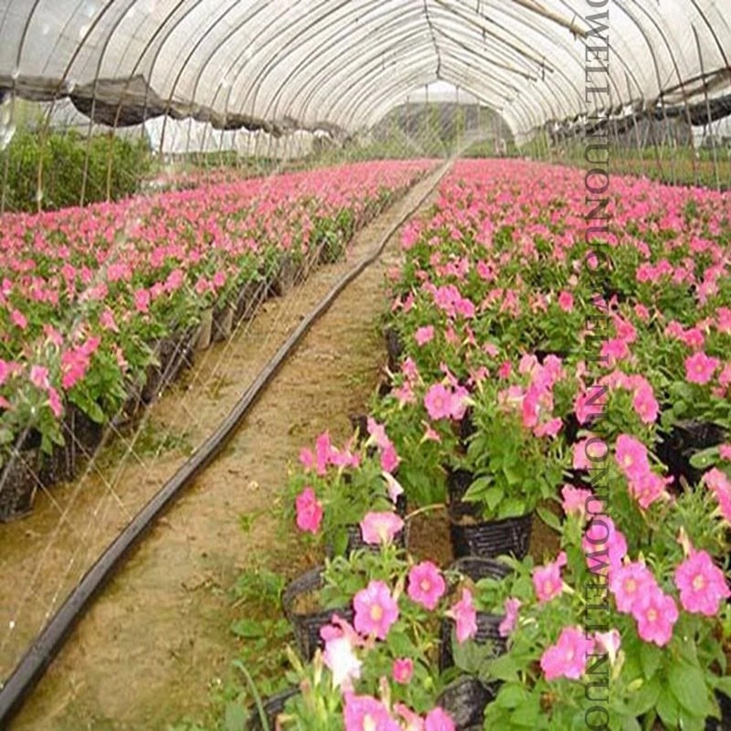 DÂY TƯỚI PHUN MƯA PHI 34MM CAO CẤP - 5 LỖ CHÉO