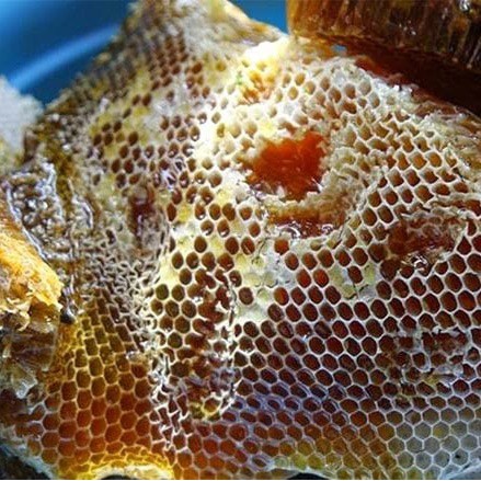 Mật ong rừng thiên nhiên nguyên chất 100% không phải mật ong nuôi 500gr NutiFarm