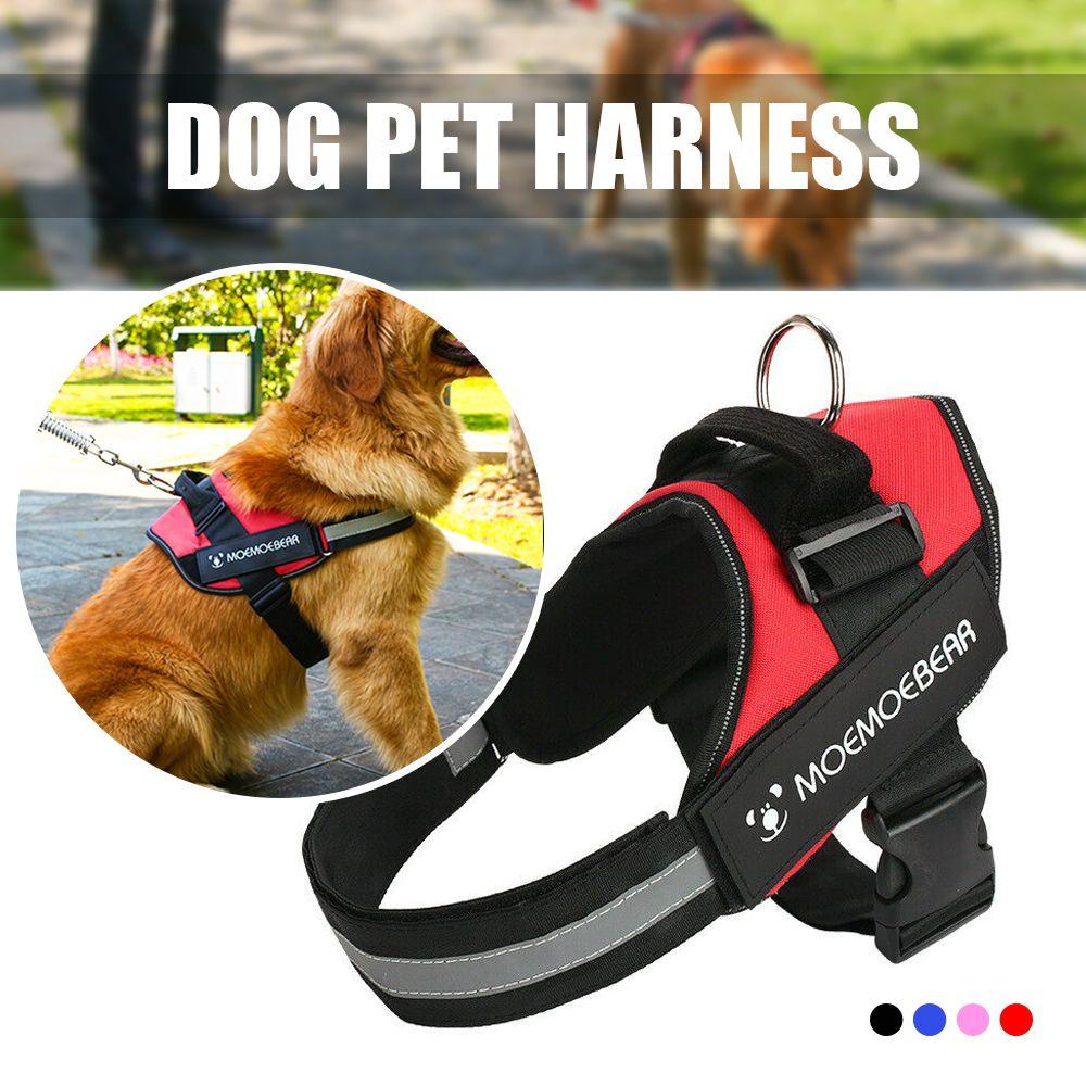 Dây Dắt Thú Cưng Đi Dạo Không Cần Kéo Có Thể Điều Chỉnh LAYOR1