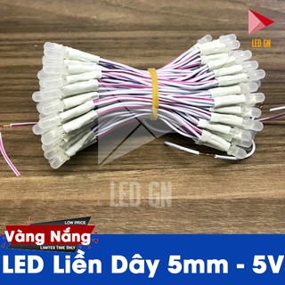 LED Liền Dây 5mm - Đủ Màu - 5V DC