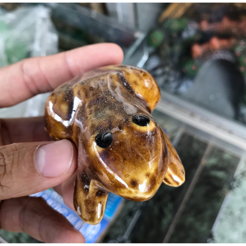 ẾCH NỔI TRANG TRÍ HỒ CÁ NON BỘ 5CM