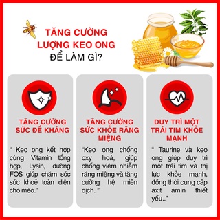 Today's Dinner - Thức ăn hạt CHO MÈO Mọi Lứa Tuổi 40Gr