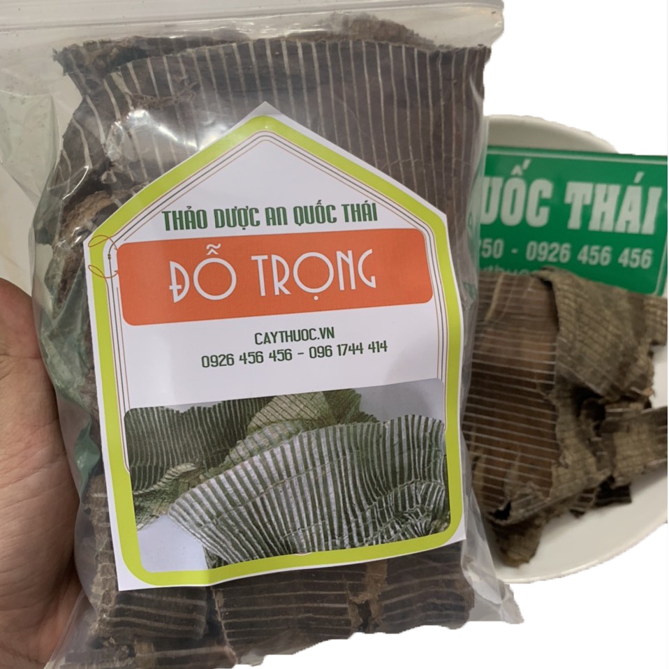 1kg Đỗ Trọng (Sạch, Đẹp) Bổ Thận Tráng Dương, Mạnh Gân Cốt
