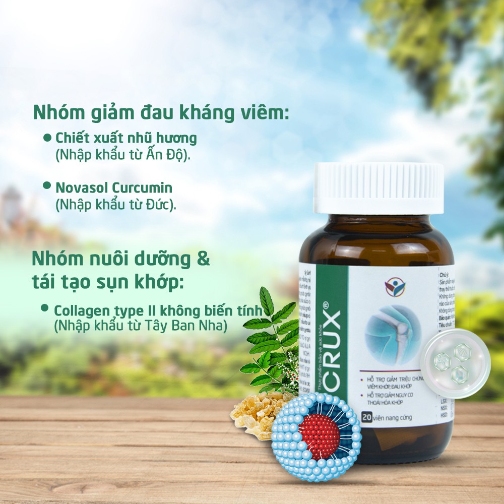 Viên uống Tái Tạo Khớp Thoái Hóa, Tăng Dịch Khớp, Cải Thiện Vận Động Crux Dan Khang Hộp 20 viên