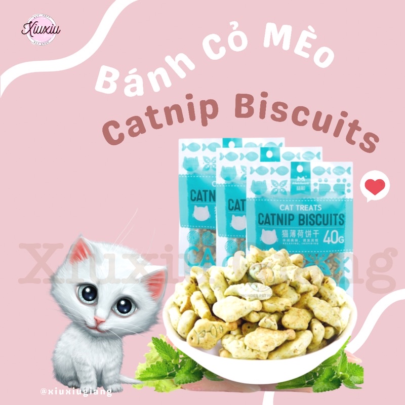 Bánh Thưởng Cá Cỏ Mèo Catnip Biscuits 40gr - Xiuxiu Giang