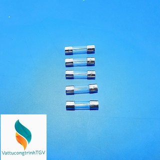 Bộ 5 cầu chì 1A (20*5mm)
