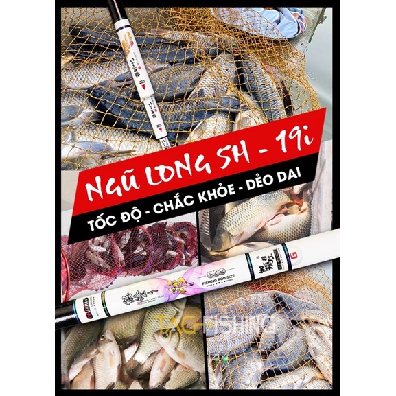 Cần Câu Đài GAMA SEIKO Ngũ Long 5H 19i - Chính Hãng